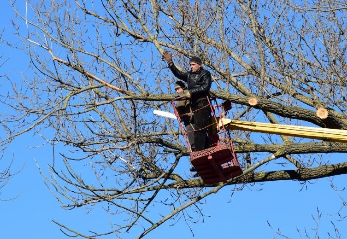 Caduta-cestello-elevatore-polizza