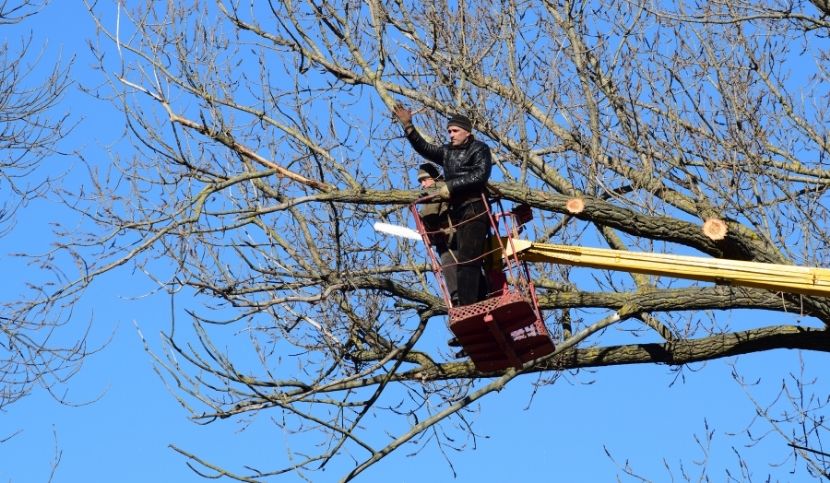 Caduta-cestello-elevatore-polizza